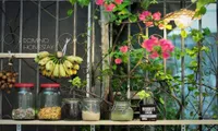 Gợi ý cho những vị khách cầu toàn 2 homestay sang xịn, giá &quot;hạt dẻ&quot; tại Sài Gòn