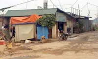 Những ngôi nhà xây dựng không phép ở bãi giữa sông Hồng. Ảnh: Trần Quý