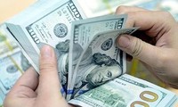 Phó Thống đốc NHNN lý giải việc tỷ giá USD tăng bất thường 