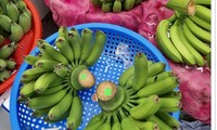 Hà Nội 29 Tết: Gần nửa triệu đồng một nải chuối xanh 