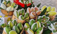 Xuất khẩu 13 tấn xoài hạt lép An Giang đầu tiên sang Hàn Quốc