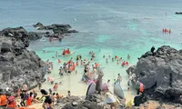 Đổ xô đi đảo Lý Sơn