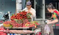 Vải thiều mất mùa, giá tăng chóng mặt