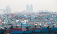 Ứng phó mưa bão, Đà Nẵng quản lý chặt chẽ tàu thuyền