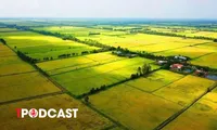 Xây dựng chính sách đất đai cho chính quyền địa phương hai cấp