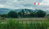 Đất 50 năm hết hạn sử dụng có bị thu hồi ?