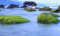 Đẹp mê hồn ghềnh đá Nam Ô