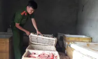 Số nội tạng động vật bẩn vừa được phát hiện.
