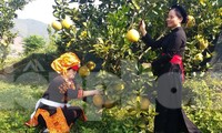 Phụ nữ đồng bào dân tộc huyện Sơn Động (Bắc Giang) giúp nhau giảm nghèo bền vững.