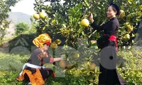 Phụ nữ đồng bào dân tộc huyện Sơn Động (Bắc Giang) giúp nhau giảm nghèo bền vững.