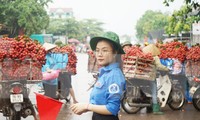 Đoàn viên, thanh niên tỉnh Bắc Giang tham gia điều tiết đảm bảo giao thông mùa vải thiều trong Chiến dịch Thanh niên tình nguyện Hè.