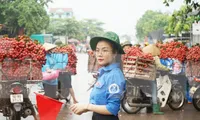 Đoàn viên, thanh niên tỉnh Bắc Giang tham gia điều tiết đảm bảo giao thông mùa vải thiều trong Chiến dịch Thanh niên tình nguyện Hè.