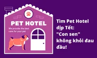 Hội &quot;sen&quot; chật vật tìm khách sạn cho &quot;boss cưng&quot;: Nơi uy tín đều hết chỗ từ 1 tháng trước!