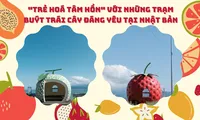 Những trạm xe buýt tại Nhật Bản đưa hành khách bước vào thế giới manga - anime