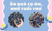 Trở về tuổi thơ với quả cọ ỏm: &quot;Gây sốt&quot; cộng đồng mạng, cả năm chỉ có một mùa