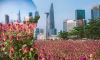 Giới trẻ TP.HCM rộn ràng rủ nhau &quot;check-in&quot; cánh đồng hoa tím mộng mơ