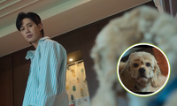 The Glory 2: Cú twist Jae Jun đối xử với &quot;boss cưng&quot; khiến netizen &quot;ngã ngửa&quot;