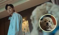 The Glory 2: Cú twist Jae Jun đối xử với &quot;boss cưng&quot; khiến netizen &quot;ngã ngửa&quot;