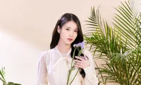 Siêu hit &quot;Good Day&quot; và 5 ca khúc khác bị tố đạo nhái, phía IU phản hồi ra sao?