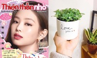 Thiên Thần Nhỏ 422 + 423: Đi qua tháng đầu năm bằng những cột mốc có thể bạn chưa biết