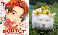 Cùng Thiên Thần Nhỏ đón Tết Quý Mão bằng cách làm quen với những chú mèo nổi tiếng