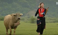 Khán giả bức xúc khi nữ chính &quot;Đi Giữa Trời Rực Rỡ&quot; mặc lễ phục đi chăn trâu