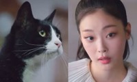 Phim Hàn thú vị nhất hiện nay: Một nữ diễn viên tỏa sáng nhờ đóng vai con mèo