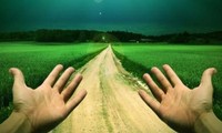 Trong lúc ngước nhìn những vì sao, hãy cẩn thận quan sát cả những gì dưới chân mình