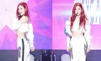 Rosé
