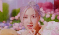 Rosé