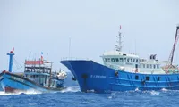 Tàu cá của ngư dân Việt Nam nhiều lần bị tàu Trung Quốc cướp phá tài sản khi khai thác hải sản ở khu vực Hoàng Sa của Việt Nam