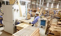 Xuất khẩu gỗ năm 2020 có thể cán đích 13 tỷ USD