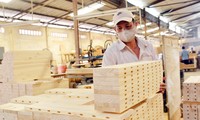 Các hiệp hội ngành gỗ trong nước cùng cam kết không sử dụng nguồn gỗ bất hợp pháp, tăng sử dụng nguồn gỗ từ rừng trồng trong nước