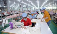 COVID-19 gây ảnh hưởng nặng nề, Hội Doanh nhân trẻ Việt Nam &apos;cầu cứu&apos;
