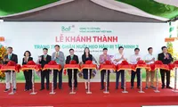 BaF mở rộng, vận hành trang trại heo tiêu chuẩn châu Âu tại Việt Nam