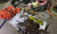 Bắt quả tang &apos;đinh tặc&apos; rải đinh trên Quốc lộ 51