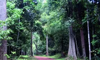 Kiến nghị khẩn khi làm đường băng qua khu dự trữ sinh quyển thế giới