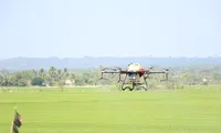 Nông dân Đồng Nai dùng máy bay để rải phân, phun thuốc