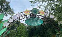 Vườn quốc gia Cát Tiên nhận hơn 11,6 nghìn ha đất rừng Đồng Nai để mở rộng 