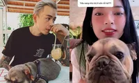 Châu Bùi nuôi thú cưng mùa dịch dùm bạn trai tin đồn Binz, tiết lộ “đã lỡ yêu nhau rồi”