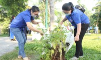 Bạn trẻ thành phố Thủ Đức ra quân trồng hàng ngàn cây xanh