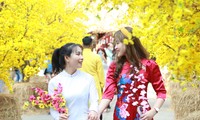 Bạn trẻ đến với không gian Tết cổ truyền, khoe sắc giữa &apos;rừng&apos; mai vàng rực rỡ