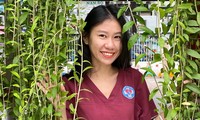 Hành trình làm bảo mẫu của &apos;đóa Tường Vi&apos; 9x