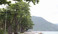 Sắc xanh tươi đẹp trên &apos;đảo ngọc&apos; Côn Đảo