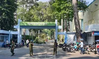 Chủ tịch TPHCM chỉ đạo rà soát toàn diện cây xanh sau vụ 2 người bị cây đè chết