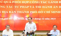 Khối lượng công việc 'khổng lồ' trong giai đoạn thi hành án vụ Vạn Thịnh Phát