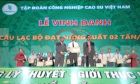 Tập đoàn Công nghiệp Cao su Việt Nam vinh danh công ty đạt năng suất trên 2 tấn/ha