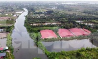 Người dân Đồ Sơn khốn đốn vì trại lợn xả thải ra sông, gây ô nhiễm