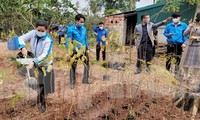 Hải Phòng, Quảng Trị tổ chức nhiều hoạt động trong Tháng Thanh niên 
