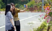 Du khách thích thú check-in trên đường hoa xuyên đảo Cát Bà